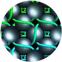 Colloidal particles in liquid crystals