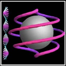 liquid crystal modle